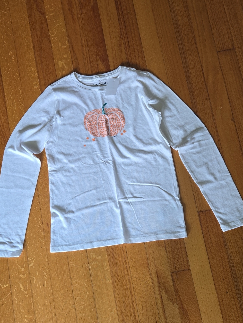 Crewcuts White Long Sleeve Tee with Orange Pumpkin Graphic